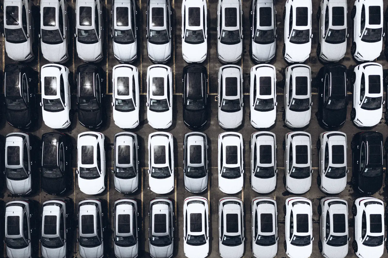 Rows of white and black cars parked in a fleet lot, seen from above