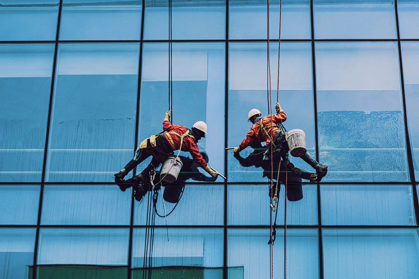 Rope-access cleaners in harnesses washing the glass facade of a commercial tower