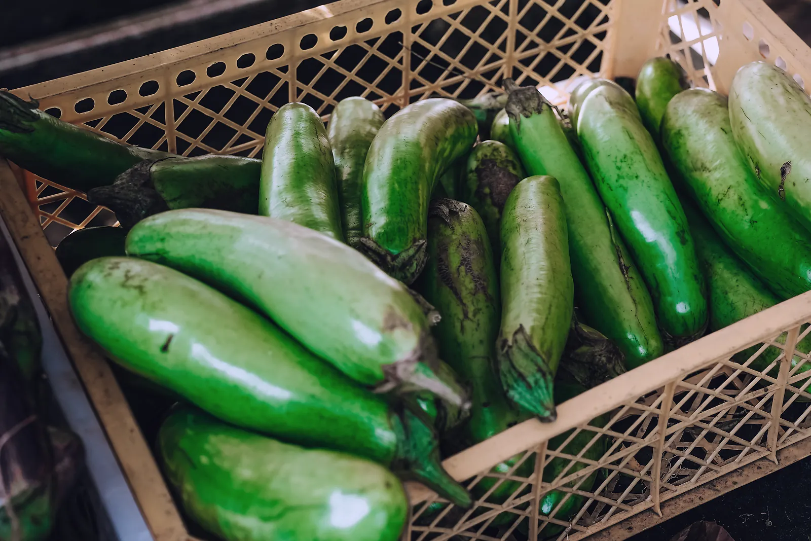 A plastic trade crate filled with fresh green aubergines at a produce market