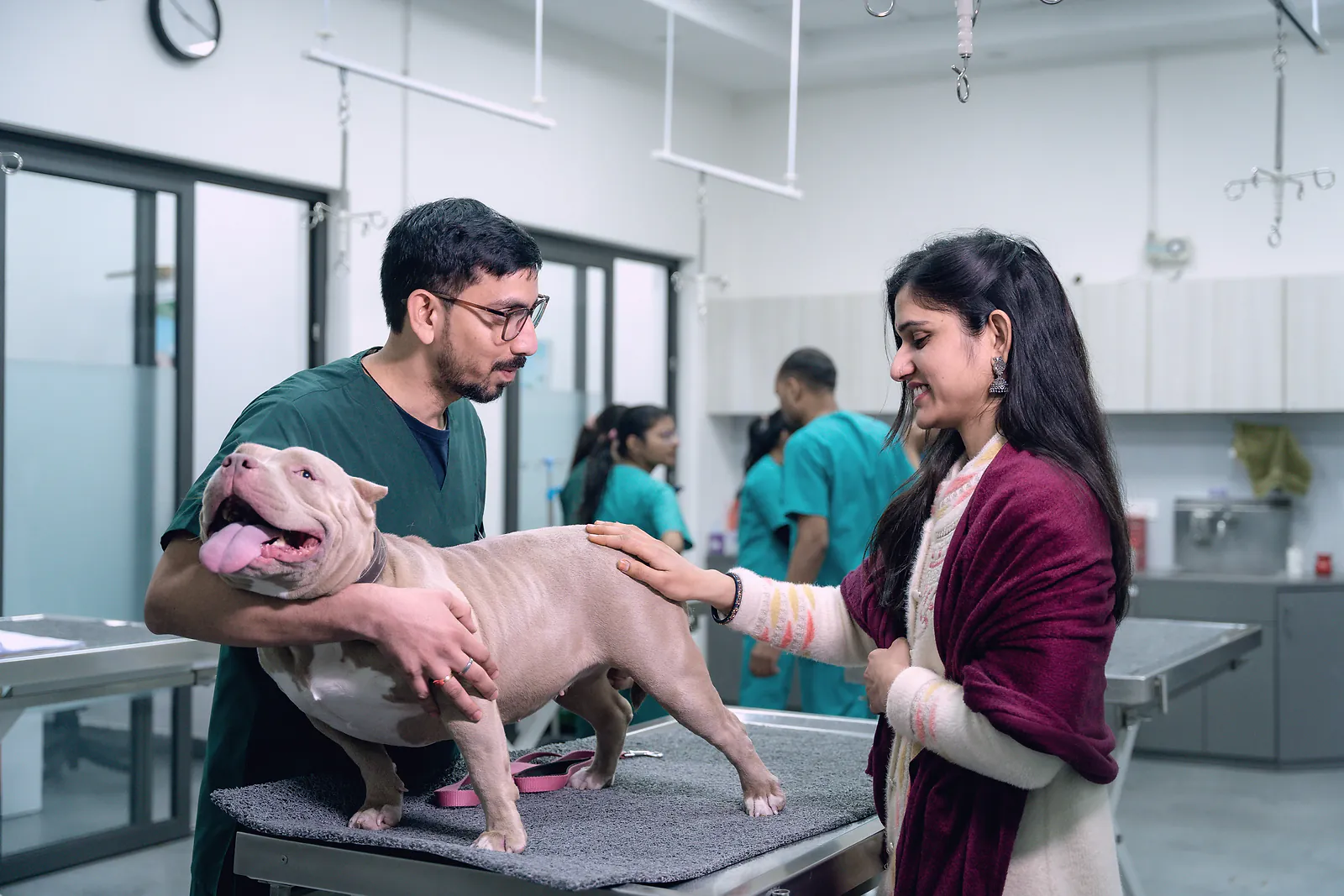 A vet steadies a dog on the treatment table while its owner strokes it