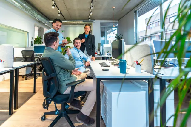 Four colleagues talk through a plan around a desk, partners sharing one ANCFZ licence